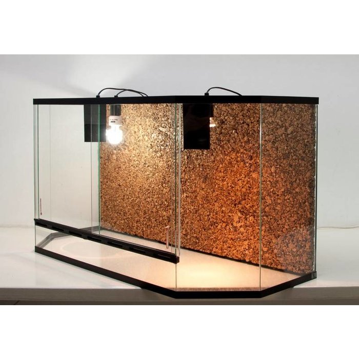 Panorama Terrarium