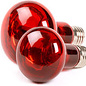 Infrarood Lamp 60W - (LI060)