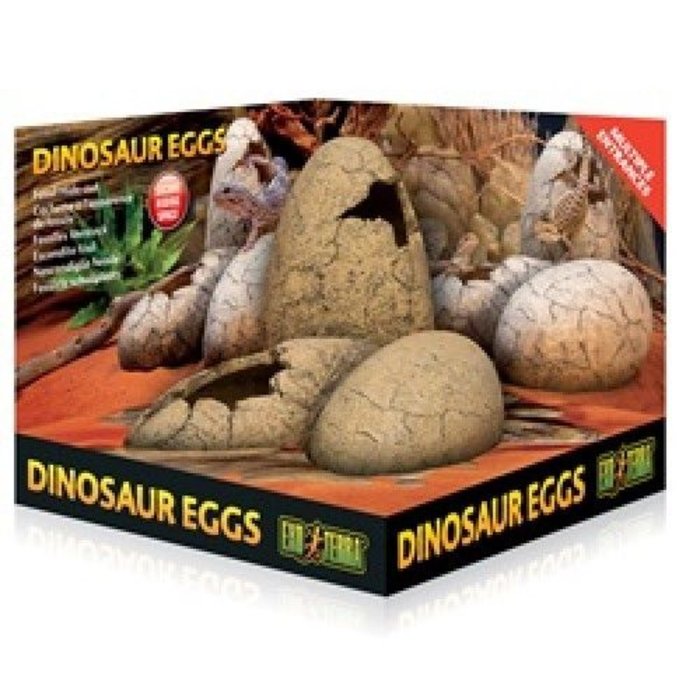 Exo Terra Dinosaur eggs hiding