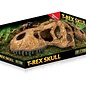 Exo terra T-Rex Skull