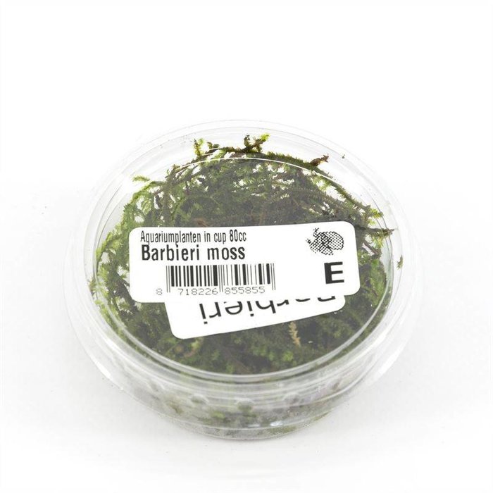 Barbieri moss (verpakt per 3 stuks) 91654