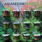 Aquascaping display Incl  MIX100cc cups 91315