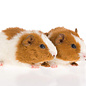 Meerschwein Rex GN-Code:0106 19 00