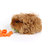 Meerschwein Lunkarya GN-Code:0106 19 00