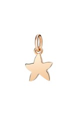 DoDo Charm starfish