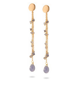 Brusi Oorringen Tanzanite drops