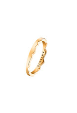 Akillis Ring Capture Light geel goud