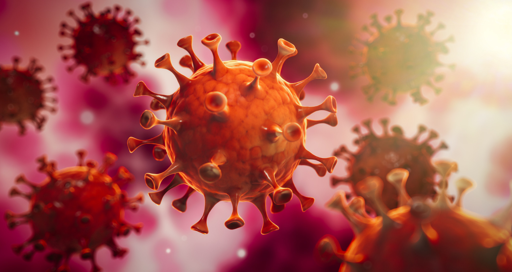 Coronavirus in Nederland