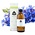 Chi Biologisch Korenbloem Hydrolaat 150ml