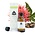 Chi Biologische Castor Olie 100ml