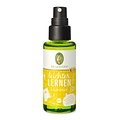 Primavera KIDS Room Spray Focus & Leren 50ml