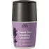Urtekram Tune In Cream Deo Soothing Lavender 50ml