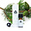 Chi Etherische Grove Den Olie 10ml of 50ml