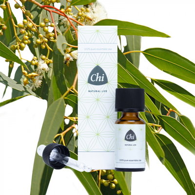 Chi Etherische Eucalyptus Citroen Olie 20ml