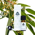 Chi Etherische Eucalyptus Citroen Olie 20ml