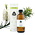 Chi Biologisch Tea Tree Hydrolaat 150ml