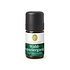 Primavera Geurmengsel Forest Walk 5ml