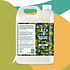 Faith in Nature Shampoo Jojoba – Refill - 5 Liter