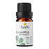 Fushi Wellbeing Eucaliptus (Globulus) Organic Essential Oil 5ml of 9ml