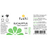 Fushi Wellbeing Eucaliptus (Globulus) Organic Essential Oil 5ml of 9ml