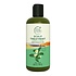 Petal Fresh Scalp Treatment Conditioner Tea Tree - 475ml