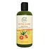 Petal Fresh Ultra-Shine Shampoo Aloe & Citrus -475ml