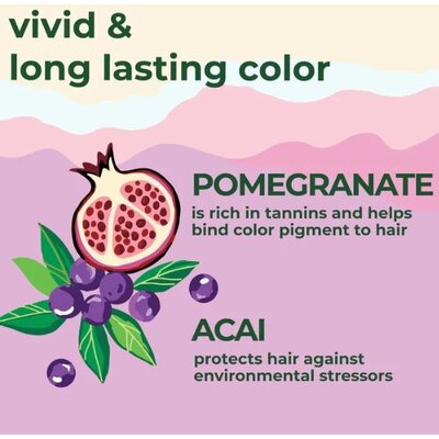 Petal Fresh Color Protection Conditioner Pomegranate & Açai - 475ml