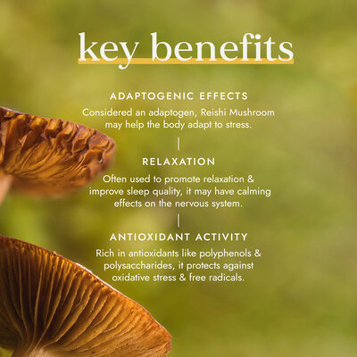 Fushi Wellbeing Organic Reishi Mushroom - 60 capsules