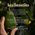 Fushi Wellbeing Avocado Oil -  Organic - 100ml of 10ml