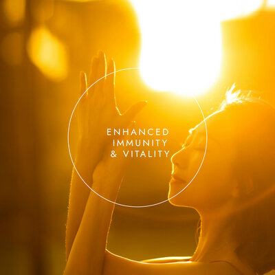 Fushi Wellbeing Turmeric Juice (Kurkuma) - 500ml