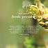 Fushi Wellbeing Really Good Muscle & Joints Oil - 100ml