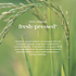 Fushi Wellbeing BioVedic™ Radiance Face Cream, 50ml