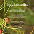 Fushi Wellbeing Biologische Shatavari, 60 Veganistische Capsules, Voedingssupplement.