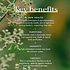 Fushi Wellbeing Biologisch Neemblad, 60 Veganistische Capsules, Voedinssupplement