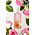 Jimmy Boyd Organic Wild Roses - 200ml of Sample doekje