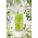 Jimmy Boyd Organic Lavender - 200ml of Sample doekje