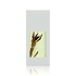 Jimmy Boyd Organic Lavender - 200ml of Sample doekje