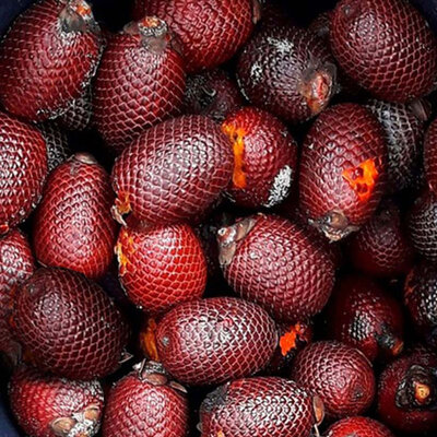 Alteya Organics Biologische Buriti Olie 50ml