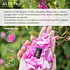 Alteya Organics Organic Bulgarian Rose Oil 1ml