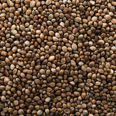 Alteya Organics Biologische Hennepzaad Olie 100ml