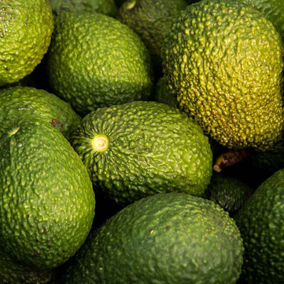 Alteya Organics Biologische Avocado Olie 100ml