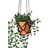 Ecowings Plantenhanger