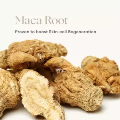 INIKA organic INIKA - Phytofuse Renew Maca Root Rich Day Cream 50ml