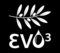 Evo3
