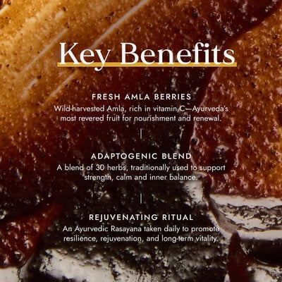 Fushi Wellbeing Chyawanprash 250g