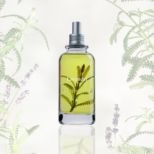 Jimmy Boyd Organic Lavender - 200ml of 25ml (Hervulbaar) of Sample Spray 3ml