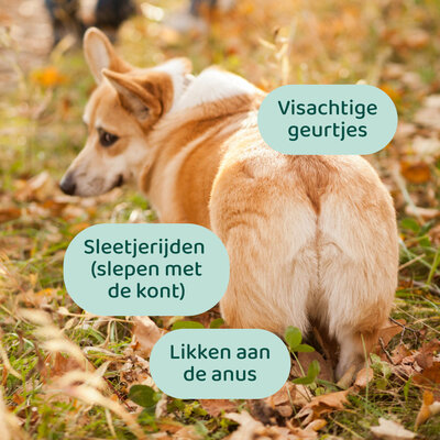 DogSupply Anti-Anaalklieren