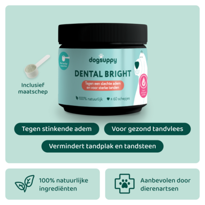 DogSupply Dental Bright