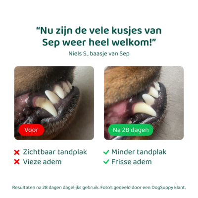 DogSupply Dental Bright