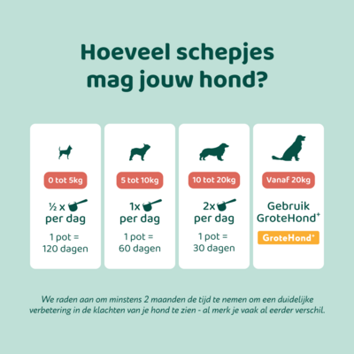 DogSupply Dental Bright